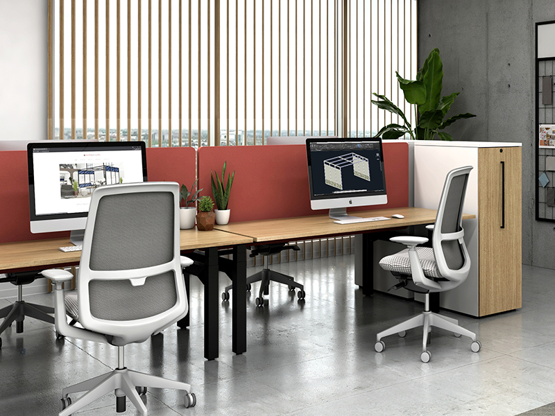 Spine-B Desk Image